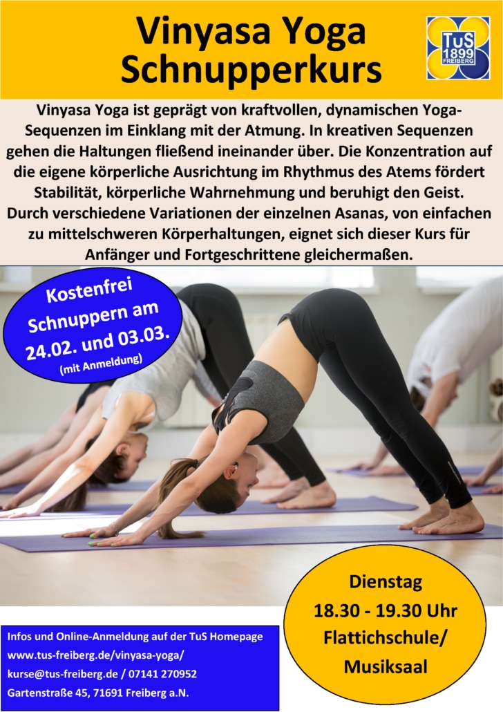 Vinyasa Yoga Schnuppertermine